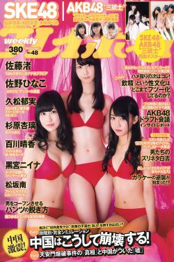 小菊春天
